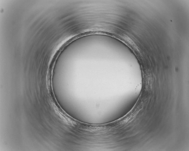 X0000059241076200510281925