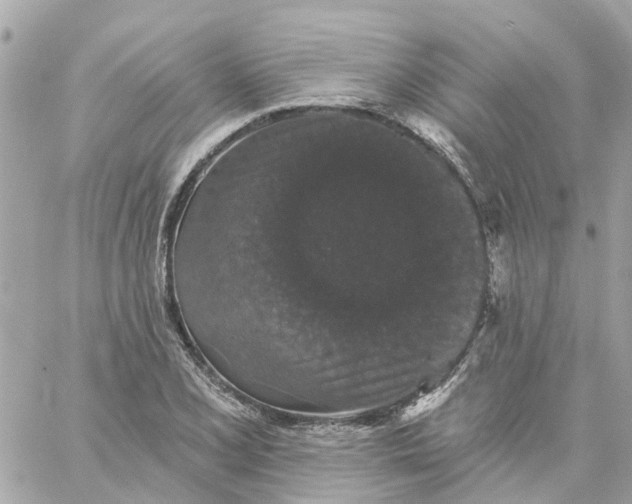 X0000059241077200510281925