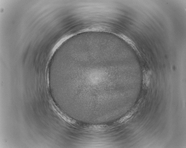 X0000059241078200510281925