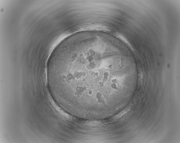 X0000059241079200510281925