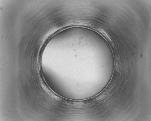 X0000059241080200510281925