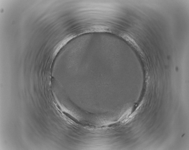 X0000059241081200510281925