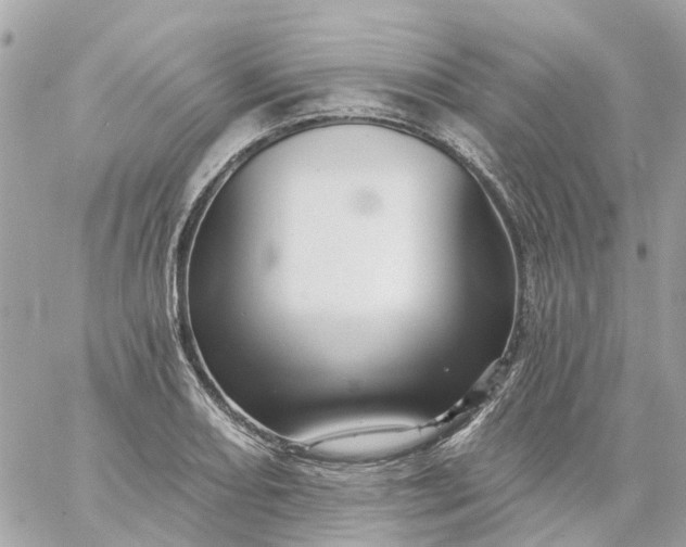 X0000059241082200510281925