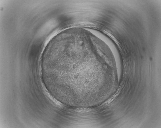 X0000059241083200510281925