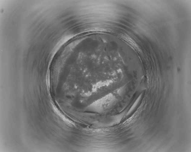 X0000059241084200510281924