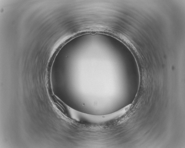 X0000059241085200510281924