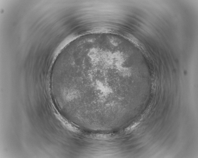 X0000059241086200510281924