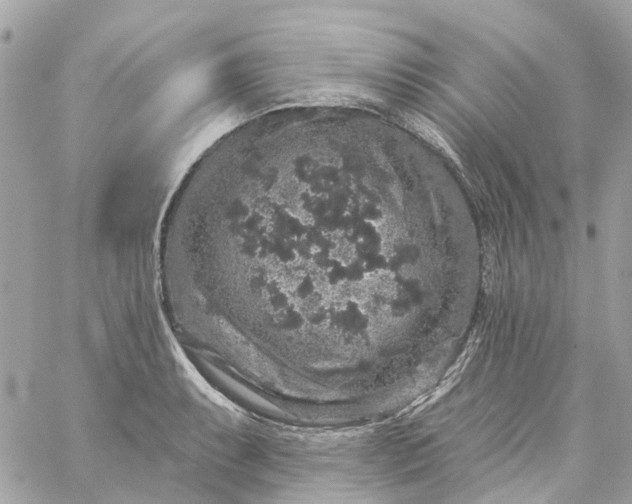 X0000059241087200510281924