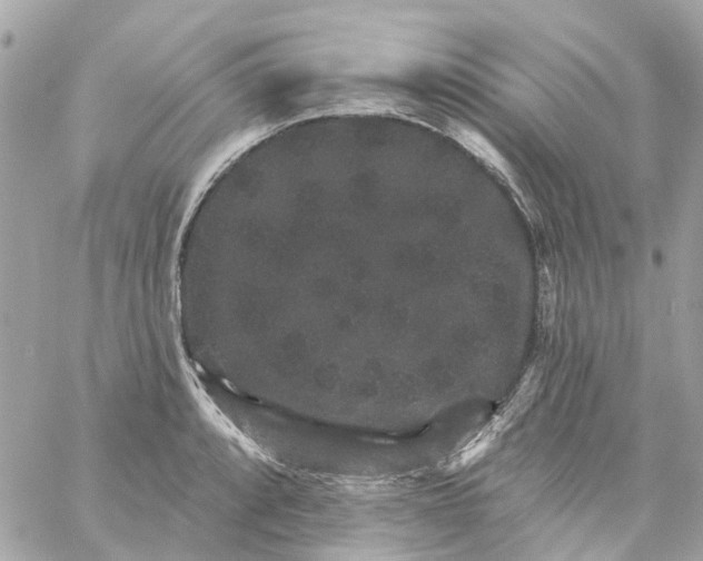 X0000059241088200510281924