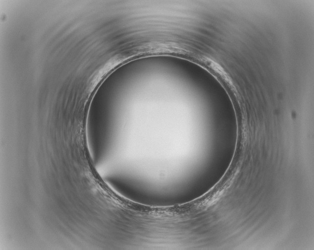 X0000059241089200510281924