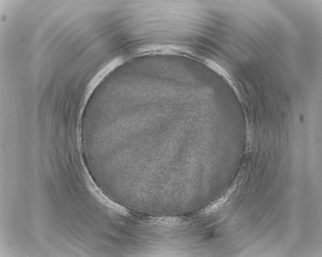 X0000059241090200510281924