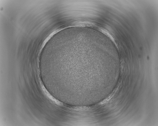 X0000059241091200510281924