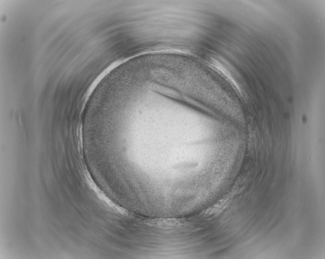 X0000059241092200510281924