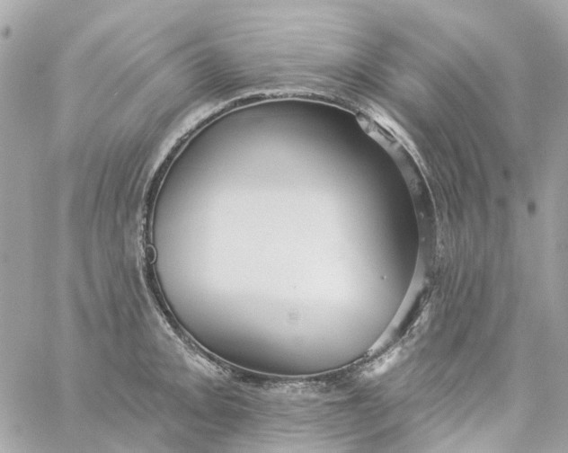 X0000059241093200510281924