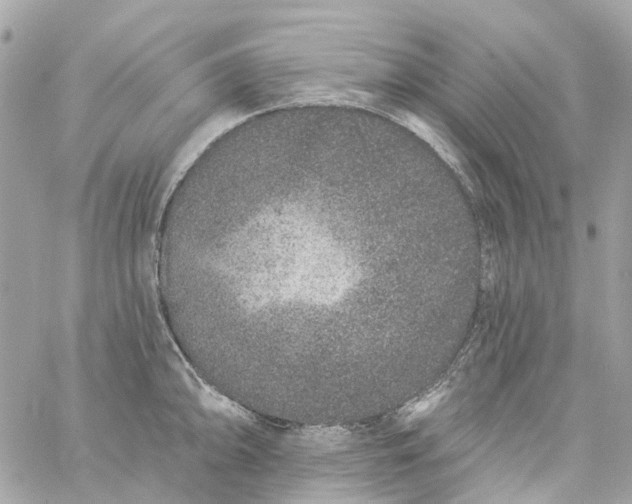 X0000059241094200510281924