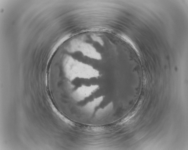 X0000059241095200510281924