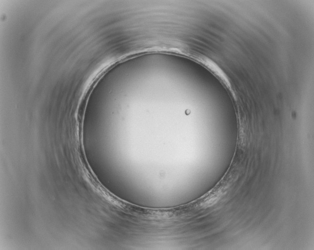 X0000059241096200510281924