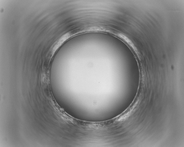 X0000059241097200510281924