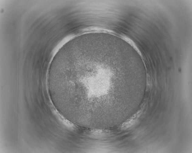 X0000059241098200510281924