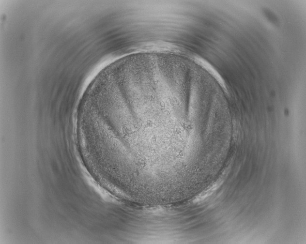 X0000059241099200510281924