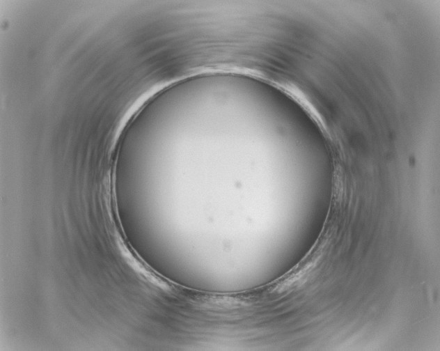 X0000059241100200510281924