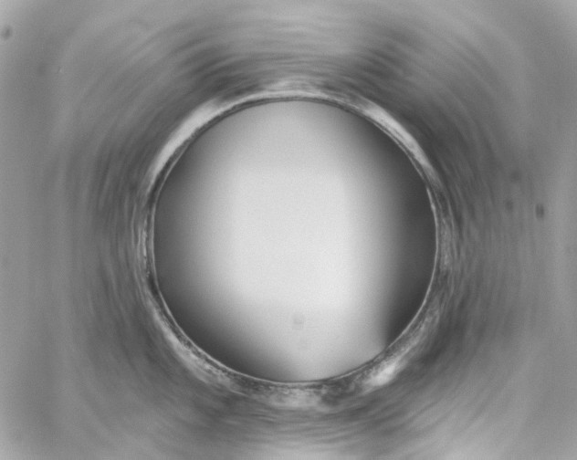 X0000059241101200510281924