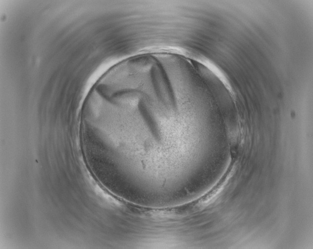 X0000059241102200510281924