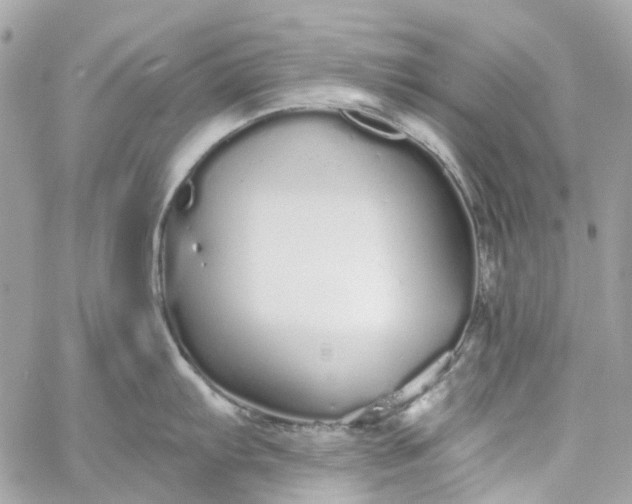 X0000059241103200510281924