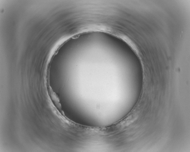 X0000059241104200510281924