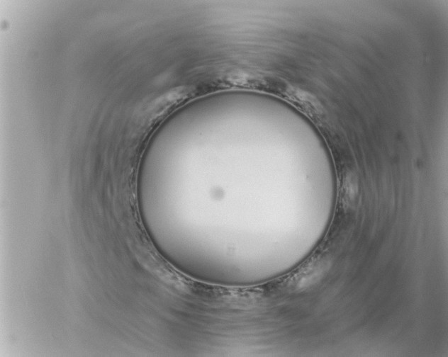 X0000059241105200510281923