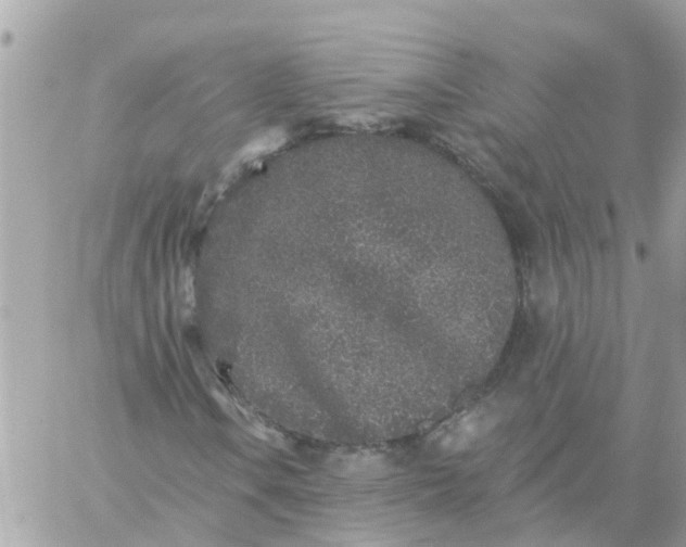 X0000059241106200510281923