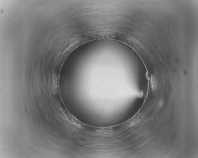 X0000059241107200510281923