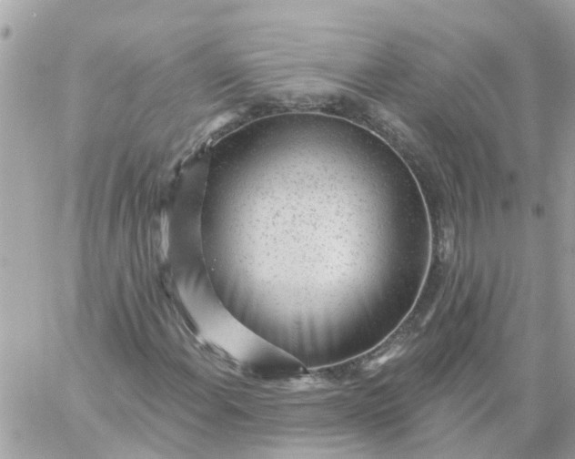 X0000059241108200510281923