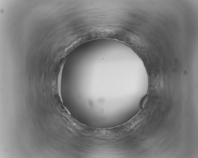 X0000059241109200510281923