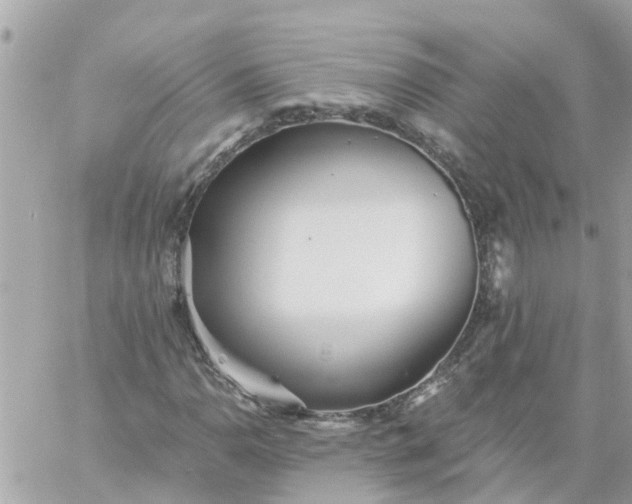 X0000059241110200510281923