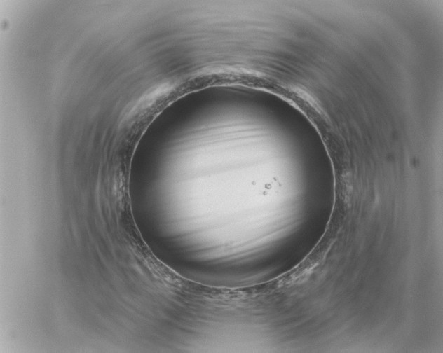 X0000059241111200510281923