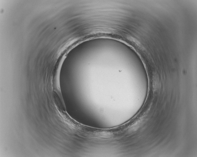 X0000059241113200510281923