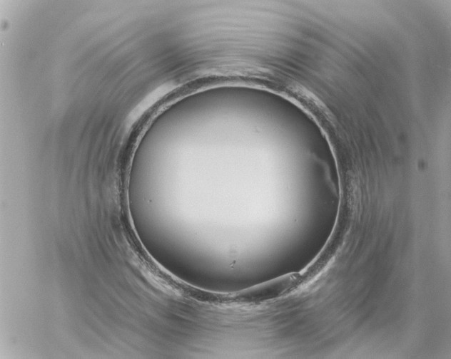 X0000059241114200510281924