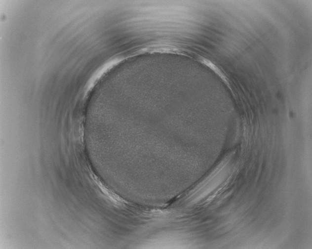 X0000059241115200510281924