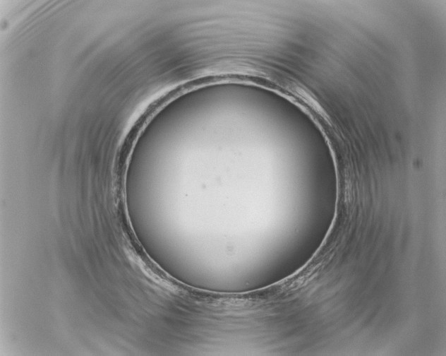 X0000059241116200510281924