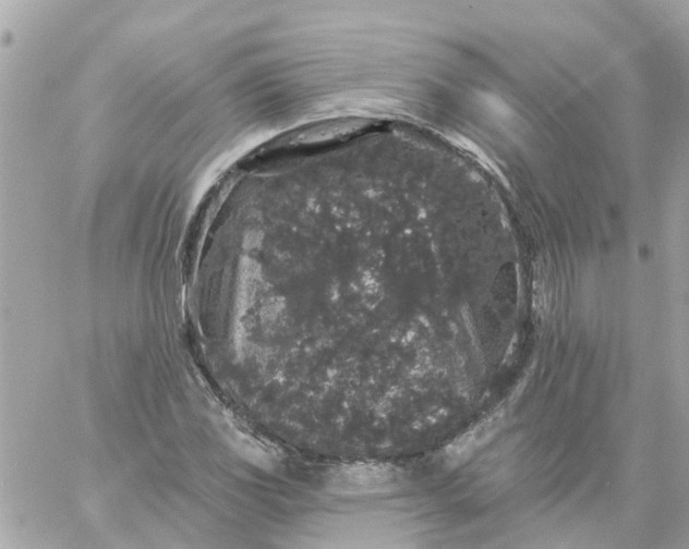 X0000059241117200510281924