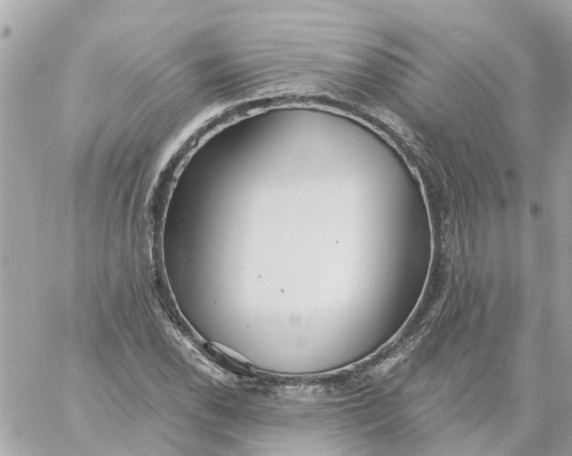 X0000059241118200510281924