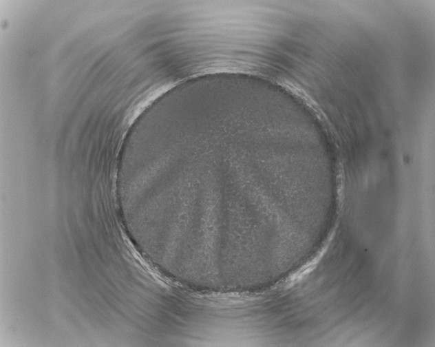 X0000059241121200510281924