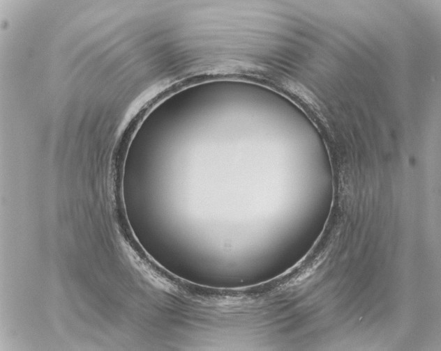 X0000059241122200510281924