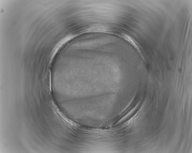 X0000059241123200510281924