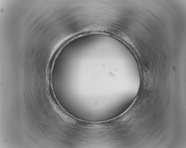 X0000059241124200510281924