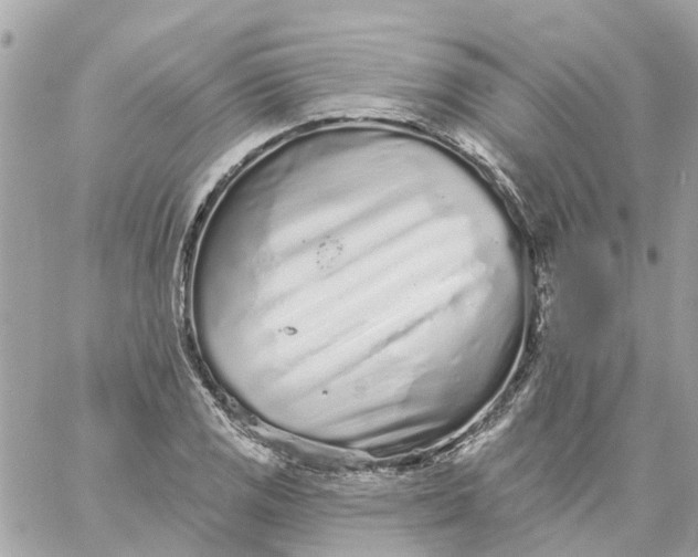 X0000059241125200510281924