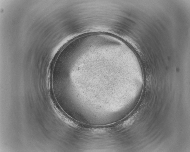 X0000059241126200510281924