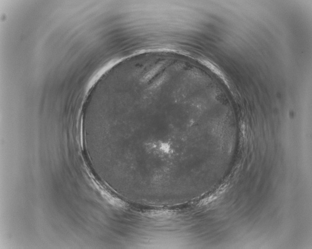 X0000059241127200510281924