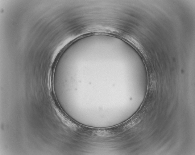 X0000059241128200510281924